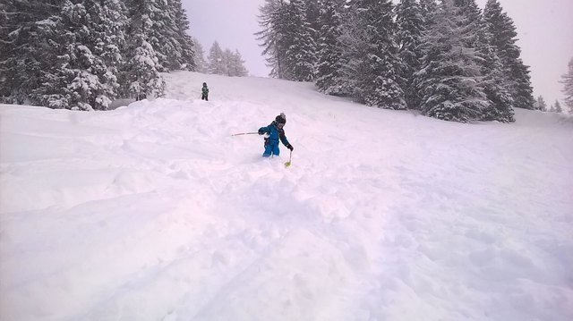 Foto: Harald Stampfer