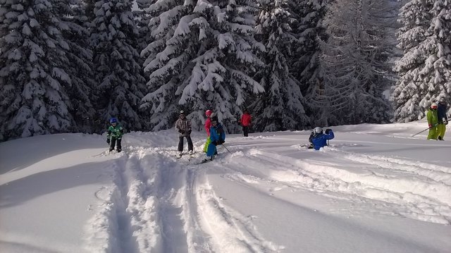 Foto: Harald Stampfer