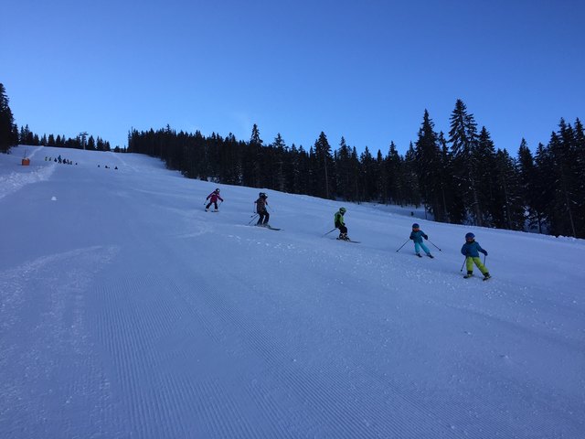 Foto: Harald Stampfer