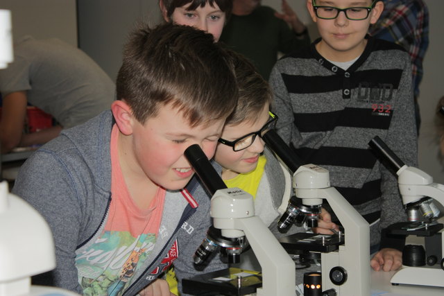 Forscherdetektive begeben sich am 27. Jänner in der NMS St. Marienkirchen auf spannende Expedition. | Foto: TNNMS St. Marienkirchen