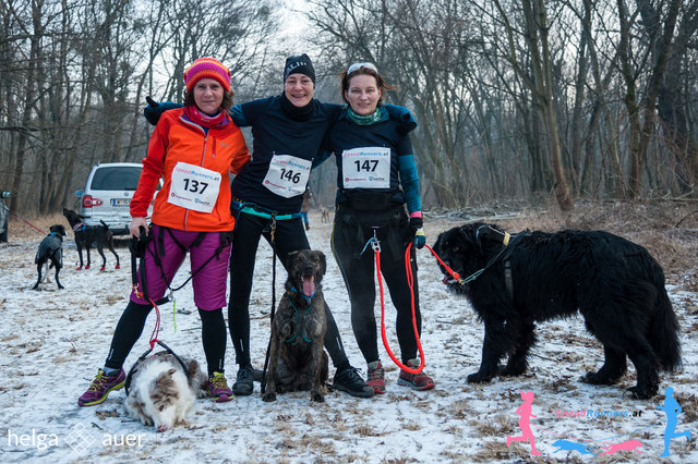 Ein Erlebnis mit Freunden und den Hunden © SpeedRunners.at