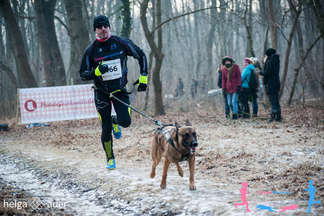 Laufen mit Hund unter Zug ist Canicross © SpeedRunners.at