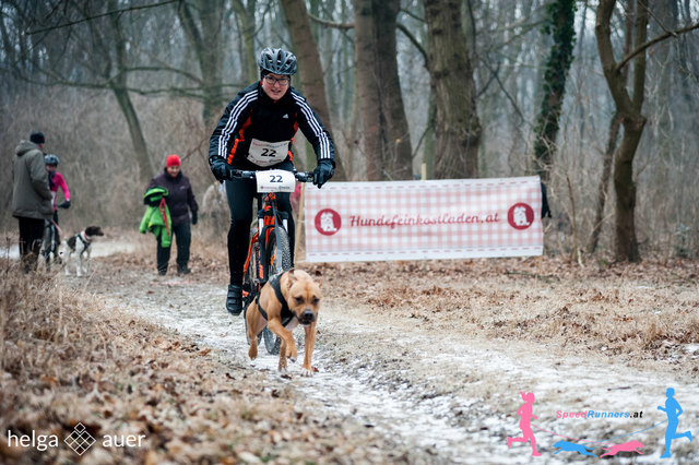 Im Bikejøring muss der Mensch am Bike eine gute Fahrtechnik haben © SpeedRunners.at