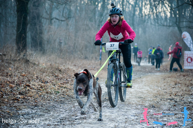 Bikejøring für die die gerne und gut Radfahren mit dem Hund © SpeedRunners.at