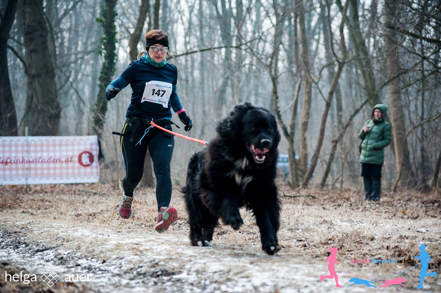 Auch Bären dürfen mit laufen ;-) © SpeedRunners.at