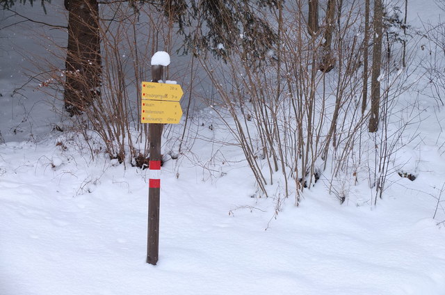 Aufgang zur Hasenaueralm am Hagertal
