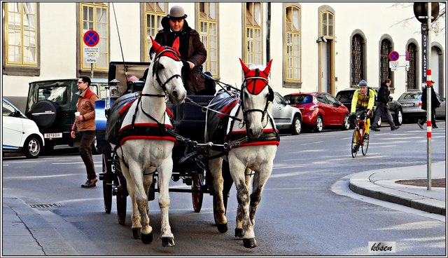 Die Fiaker gehören zum Stadtbild des 1. Bezirks. In die Herrengasse dürfen sie seit 23. Jänner jedoch nicht mehr einbiegen. | Foto: Karl B.