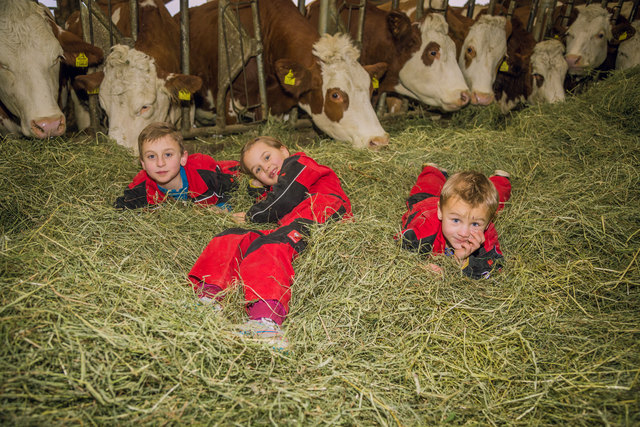 Die drei Kinder der Familie Freiler | Foto: Anton Koll