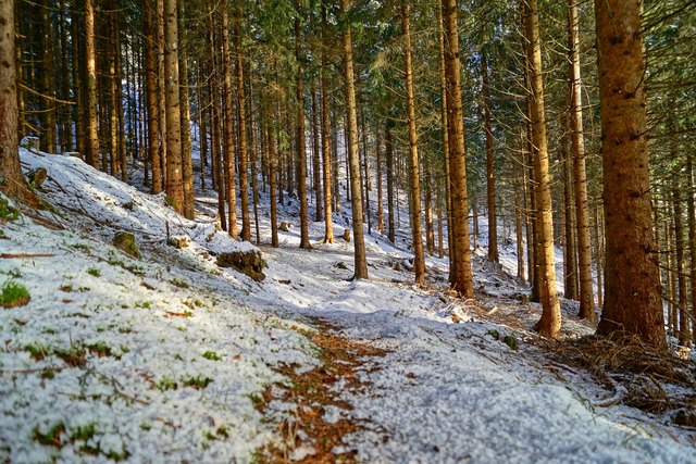 Geheime Pfade im Hagertal in Tirol