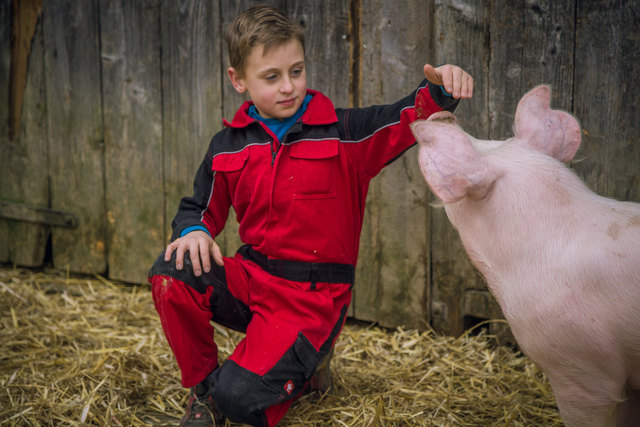 Sohn der Familie Freiler mit einem Bio-Schwein | Foto: Anton Koll