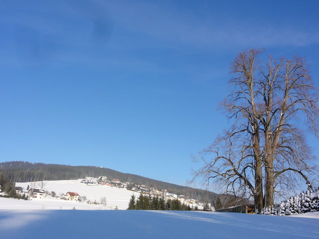 im Hintergrund der Kolomansberg