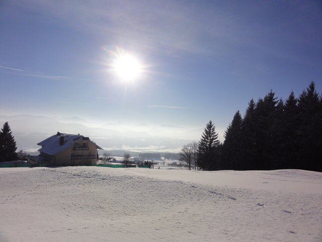 Thalgauberg