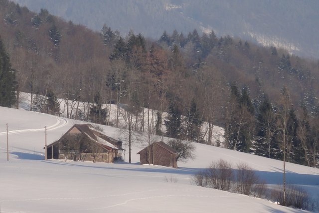 ein einsamer Bauernhof, schon längst aufgegeben