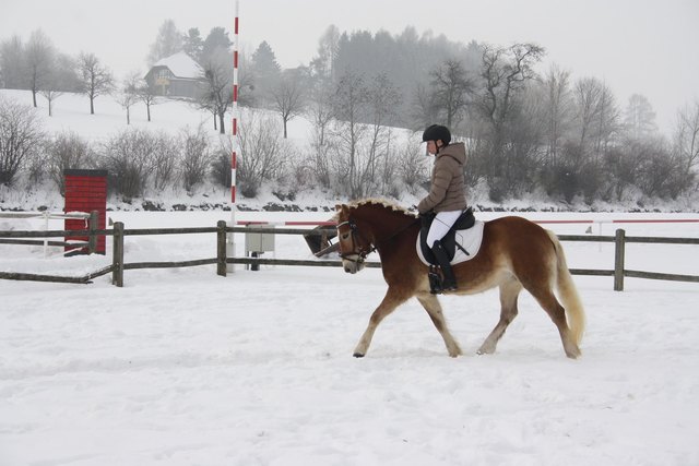 Theresa Platzer mit Gladdys