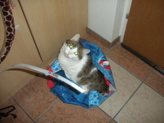 Sebastian im Sackerl