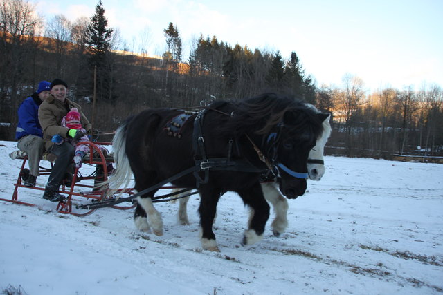 Foto: Nicole Glössl