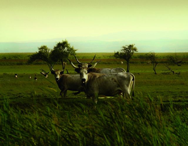 Foto: St. Martins Therme & Lodge/Fotoguiding
