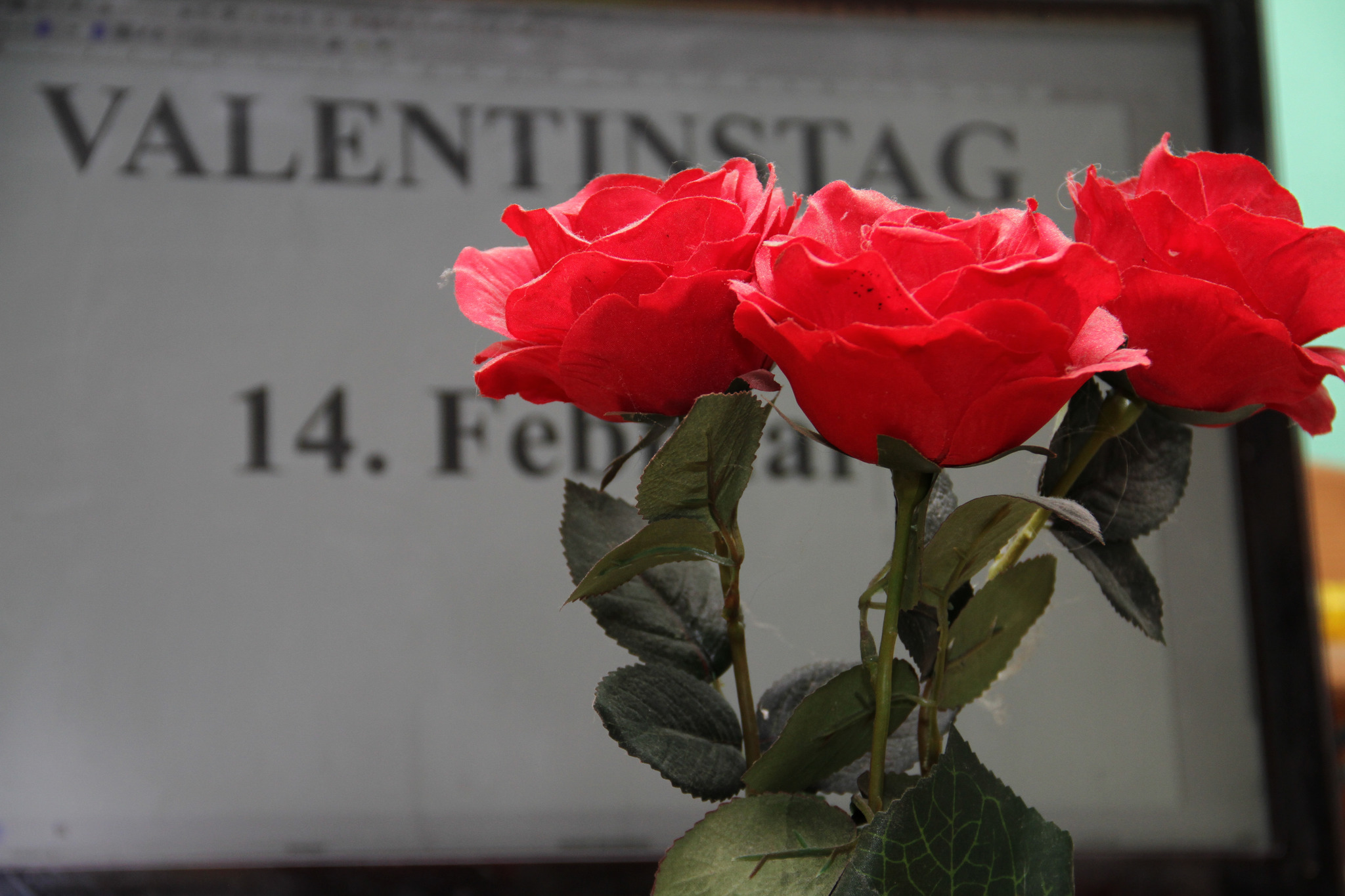 Valentinstag aus Sicht des Mannes Grieskirchen & Eferding