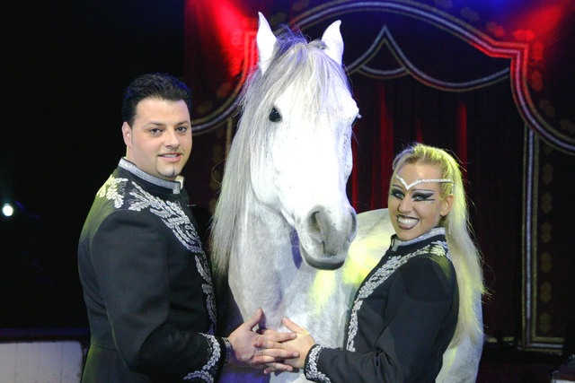 Der Zirkus "Louis Knie" gastiert mit seinem Programm voller Sensationen und Überraschungen noch bis 12. Februar in Wieselburg. | Foto: privat