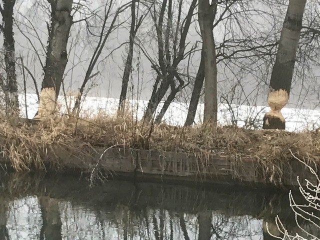 Foto: Johann Kaufmann