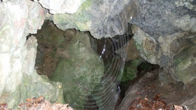 Ein vernetzter Blick in die Höhle. | Foto: Josef Kerschbaumer