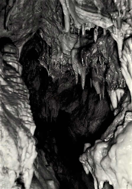 Alte Aufnahme des Tropfsteinschmucks der Höhle. | Foto: NÖ Landesregierung