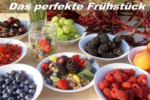 LW Ernährungsberatung 2230 Gänserndorf, Gärtnergasse 1
