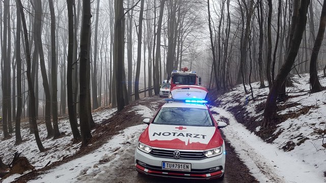 Die Purkersdorfer Blaulicht-Organisationen mussten zu einem Forstunfall ausrücken.