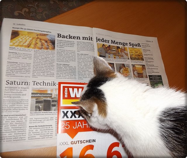 Fuzzi liest den Krampfen Beitrag in der Woche