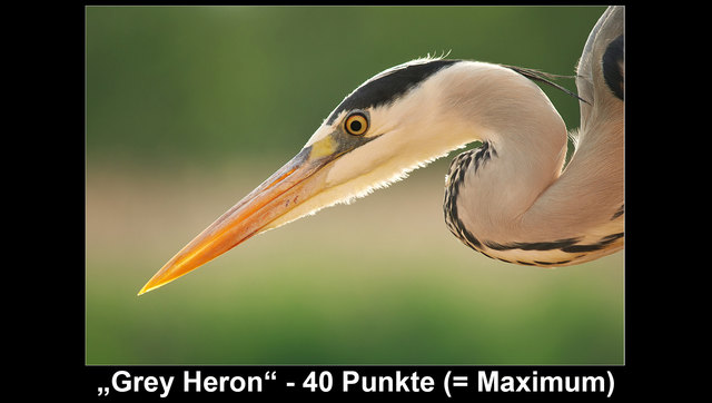 Dieses Foto erhielt das theoretische Punktemaximum mit 40 Punkte! | Foto: KKL - Wettbewerbsfoto von Mag. Ing. Martina Matuella