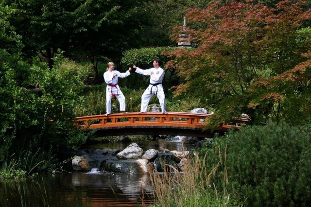 Foto: www.toleu-taekwondo.at