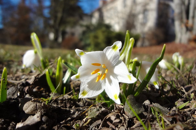 Bin zwar noch klein, aber schon so schön!
