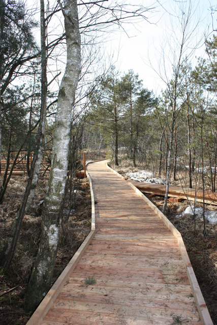 "Seelentium" agiert bereits bundesländerübergreifend. | Foto: Seelentium