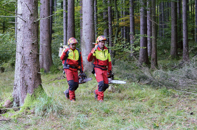 Wenn sich Wald- und Forstwirtschaft schon jetzt auf den Klimawandel einstellt, kann viel Schaden vermieden werden.