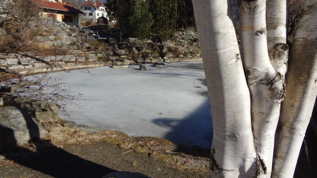 Der große Teich ist zugefroren, ...