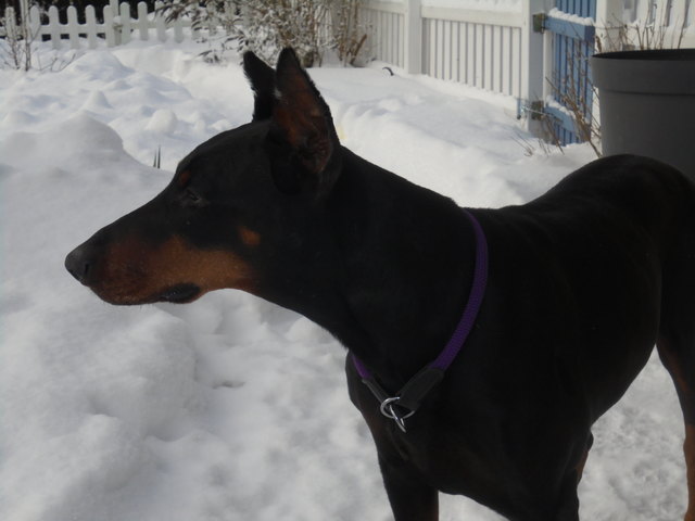 unsere "coole Socke"