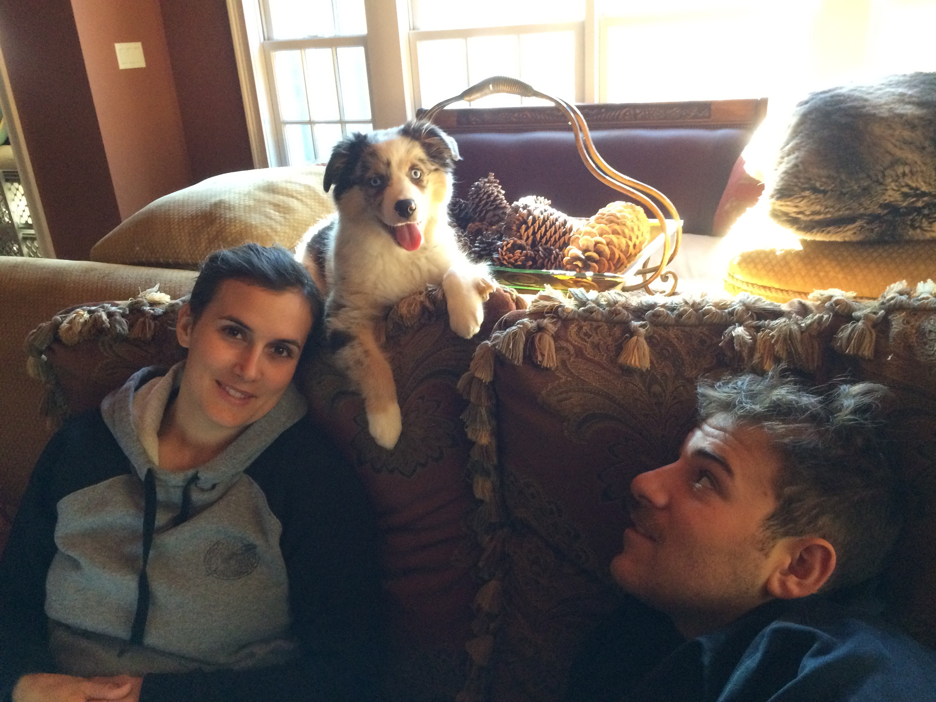 Ina meschik mit Freund Aron und Mischling Roxi beim chillen.