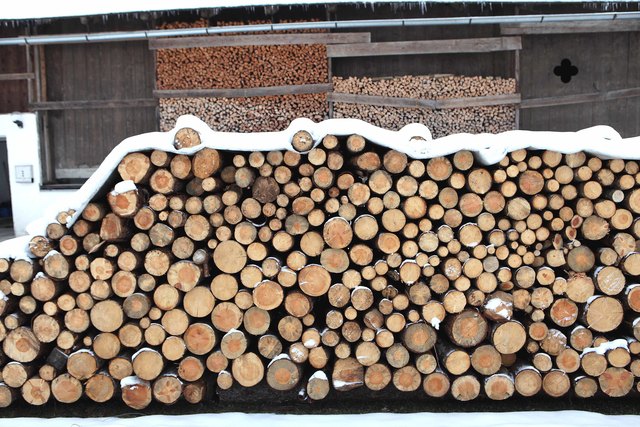 Holz | Foto: Schweinöster