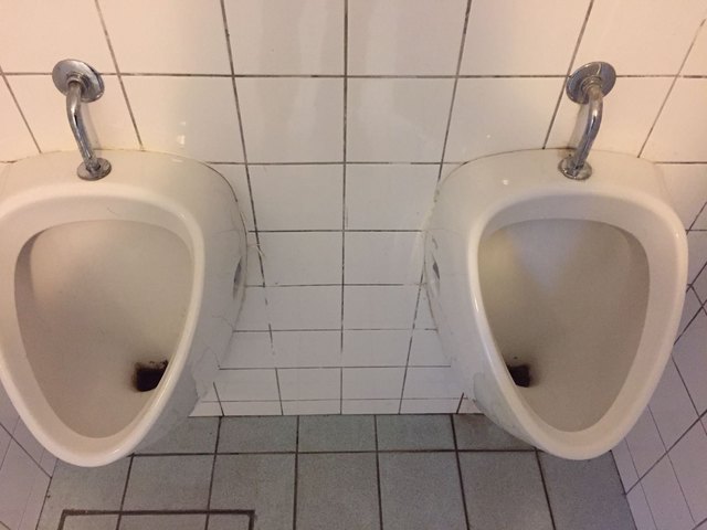 WC Bauernberg
