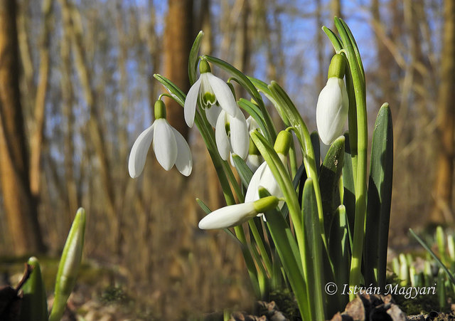 Hurra, der Frühling ist da! :)