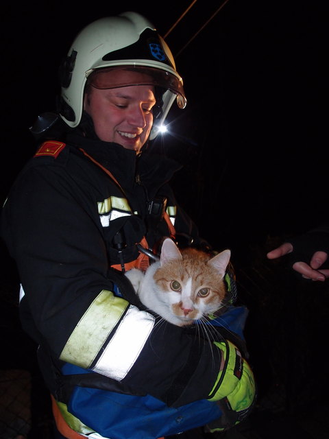 Kommandant-Stellvertreter Jerome Stocker übergab den Kater den Besitzern. | Foto: FF Kierling