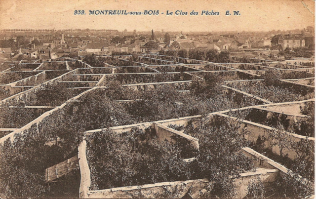 Gegründet im siebzehnten Jahrhundert, hatte Montreuil mehr als 600 km Obstmauern in den 1870er Jahren, als die Industrie ihren Höhepunkt erreichte. Das 300 Hektar große Labyrinth der verwirrten Mauern war für Außenseiter so verwirrend, daß die preußische Armee bei der Belagerung von Paris im Jahre 1870 um Montreuil herumging.