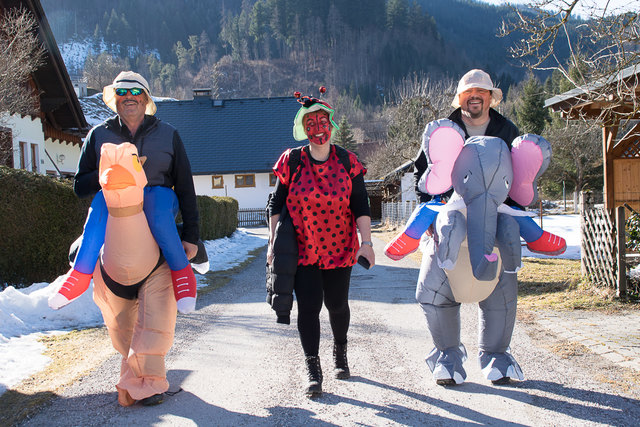 Es lebe die Tierwelt: Strauß, Marienkäfer und Elefant