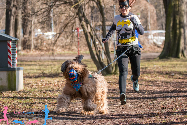 Die wilden © Thomas Köllner