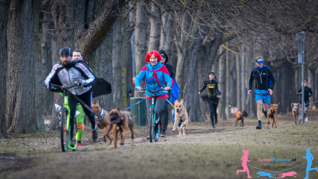 Die Superheroes © Thomas Köllner