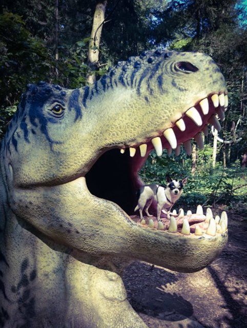Zu Besuch bei den Dinos