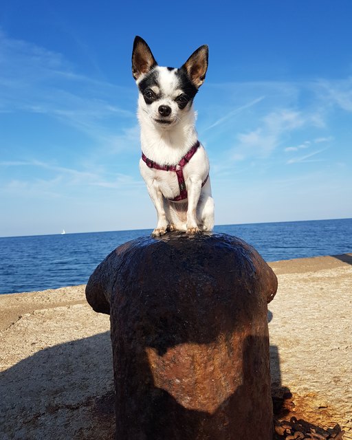 Maya im Urlaub