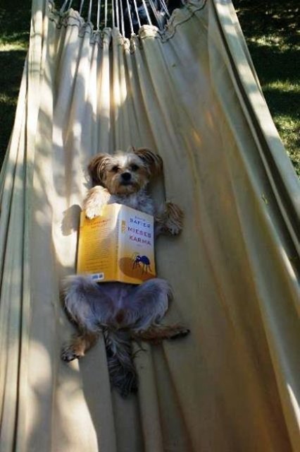 Unsere Alice beim Relaxen & Lesen in der Hängematte