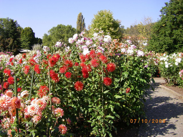 Frühling