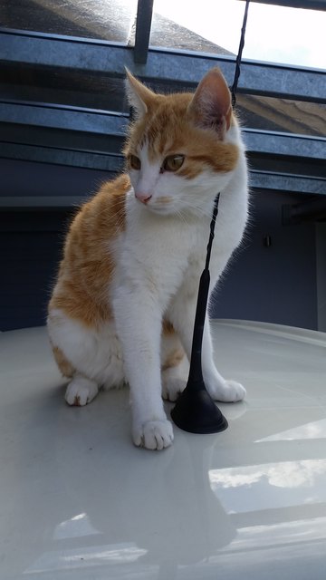 I'm sexy and I know it!